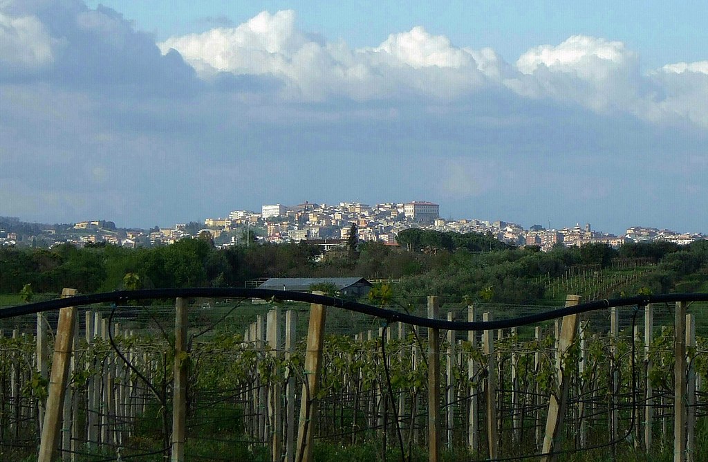 Vue sur la ville de Velletri, photographie Wikimedia Commons.